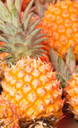 ananas