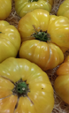 tomate ananas france