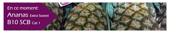 ananas extra sweet scb