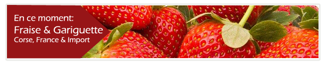 banner fraises small