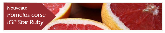 banner pomelos IGP small