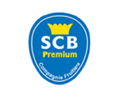 Banane SCB bananes SCB